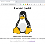 Linux应用程序性能